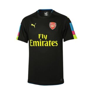 Arsenal Adult Short Sleeve 16/17 Home Goalkeeper Shirt
